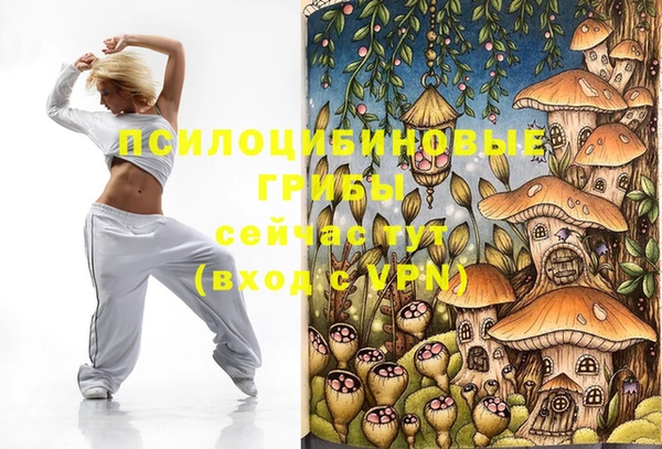 дживик Вяземский