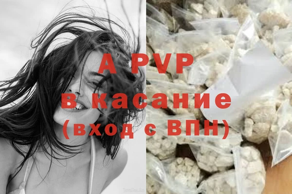 дживик Вяземский